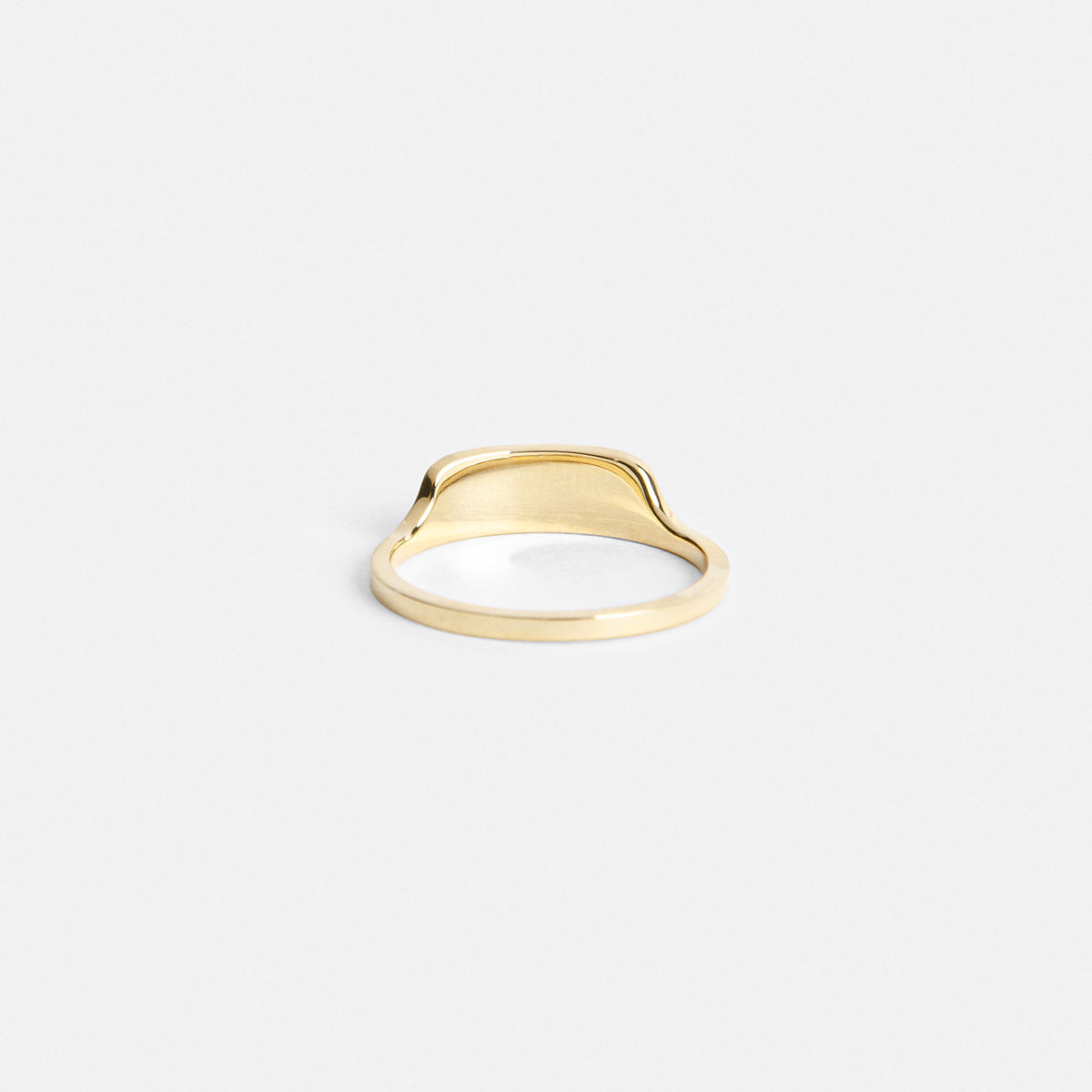 Tylo Minimalist Ring in 14 karat yellow Gold By SHW Fine Jewelry NYC