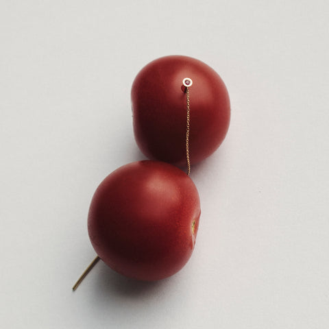 Vesa Earring with Ruby